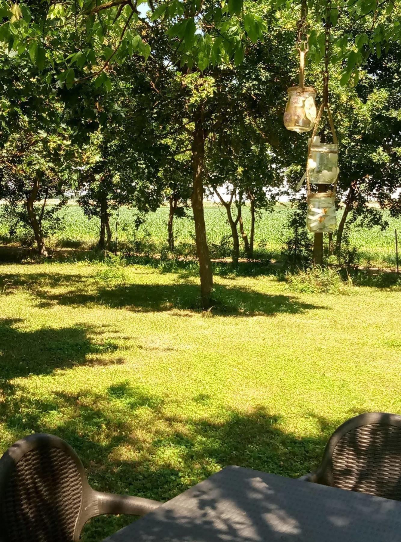 La Barchessa Country House Будріо Екстер'єр фото